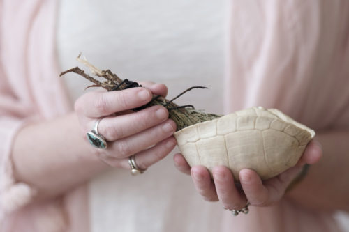 Katie holds a turtle shell with sage